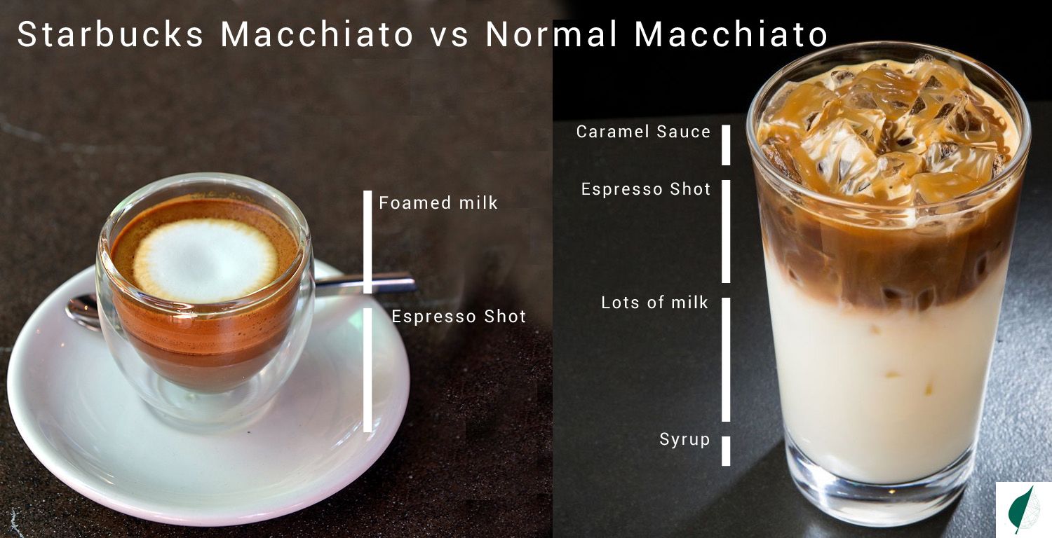 Starbucks-Macchiato-vs-Normal-Macchiato-Craft-Sense.jpeg