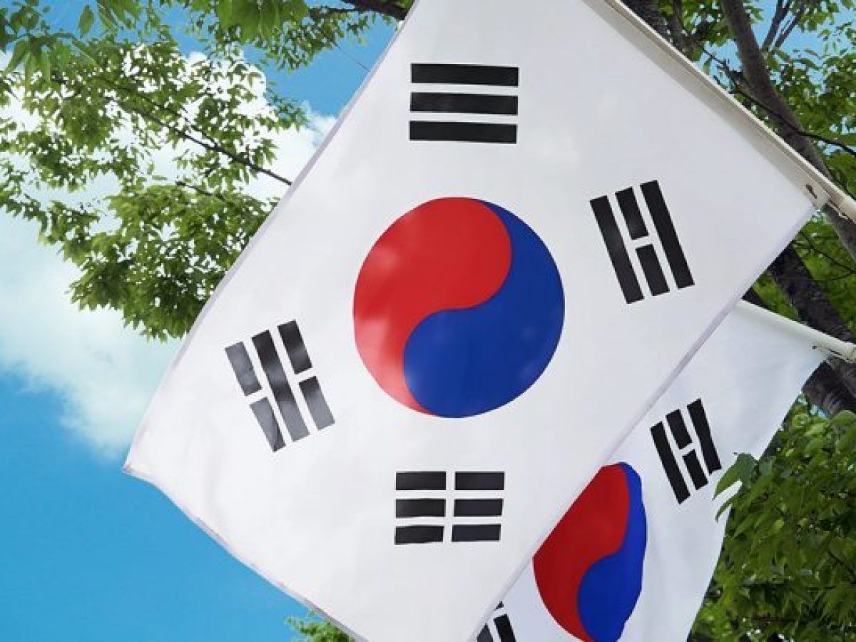 liberation day korea flag.jpeg